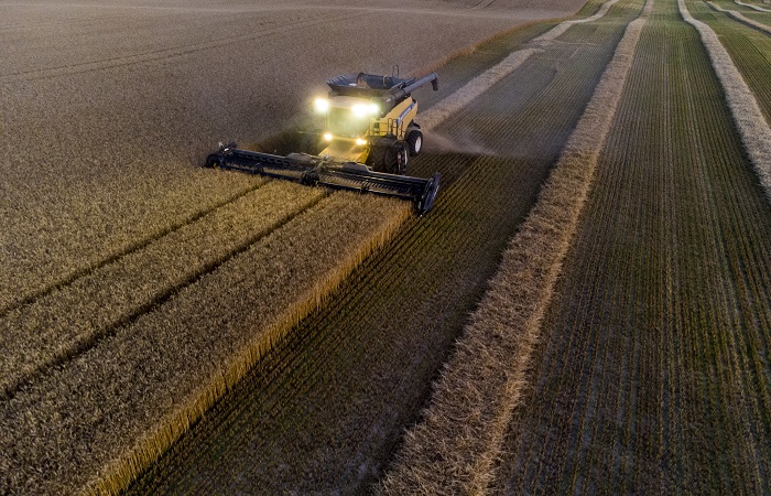 Минсельхоз США снизил оценку мирового сбора пшеницы из-за ситуации в Аргентине и Канаде