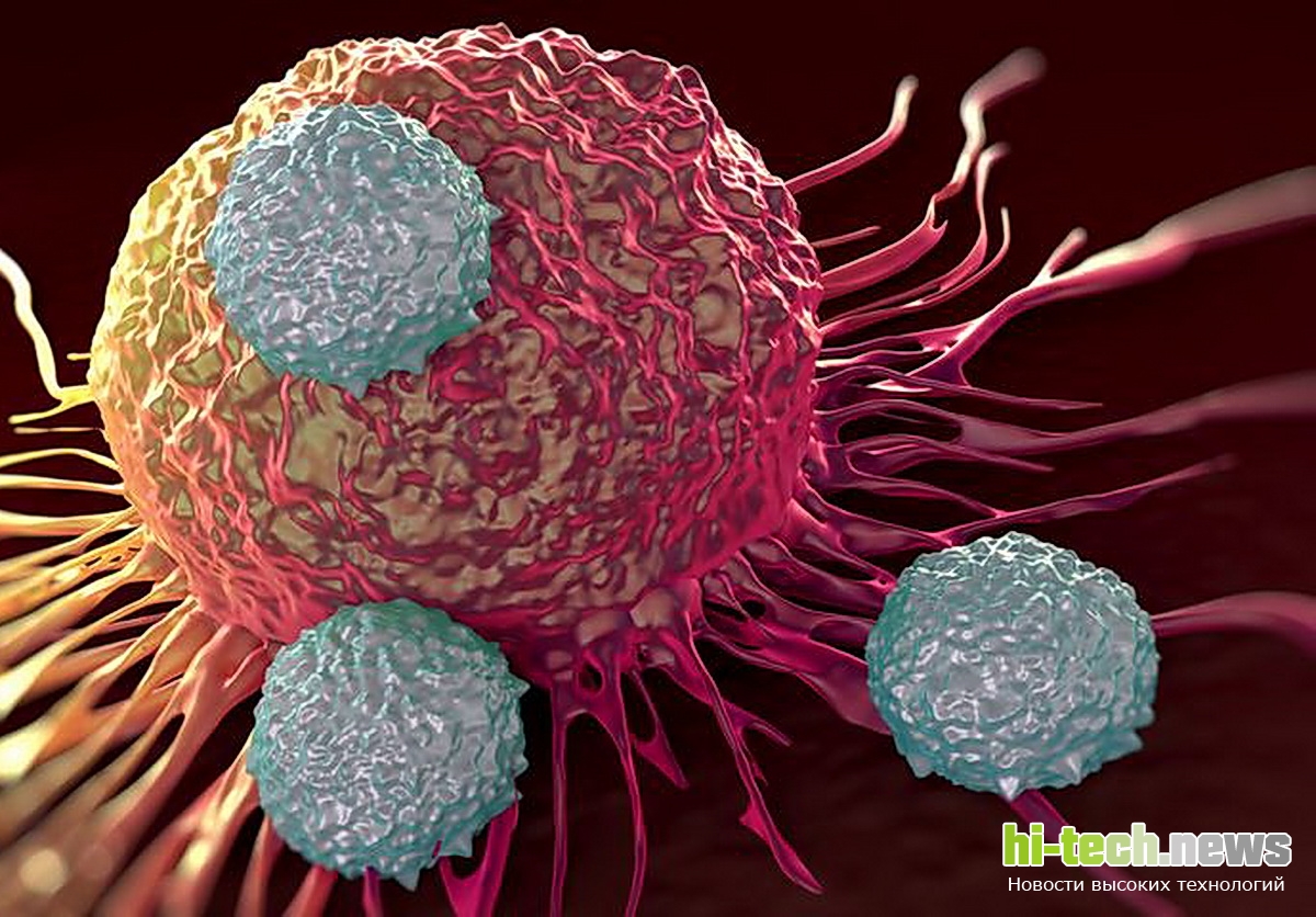 Инъекция мертвых клеток помогает бороться с раком
