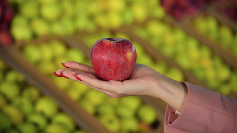 ЕАЭС создает общий рынок органической продукции 