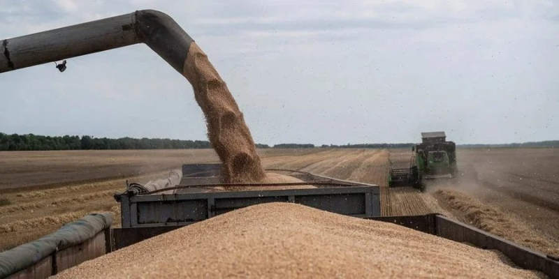 Понеслася. В Україні набули чинності нові правила агроекспорту — на порушників чекають штрафи